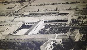 Rok 1940, Společnost